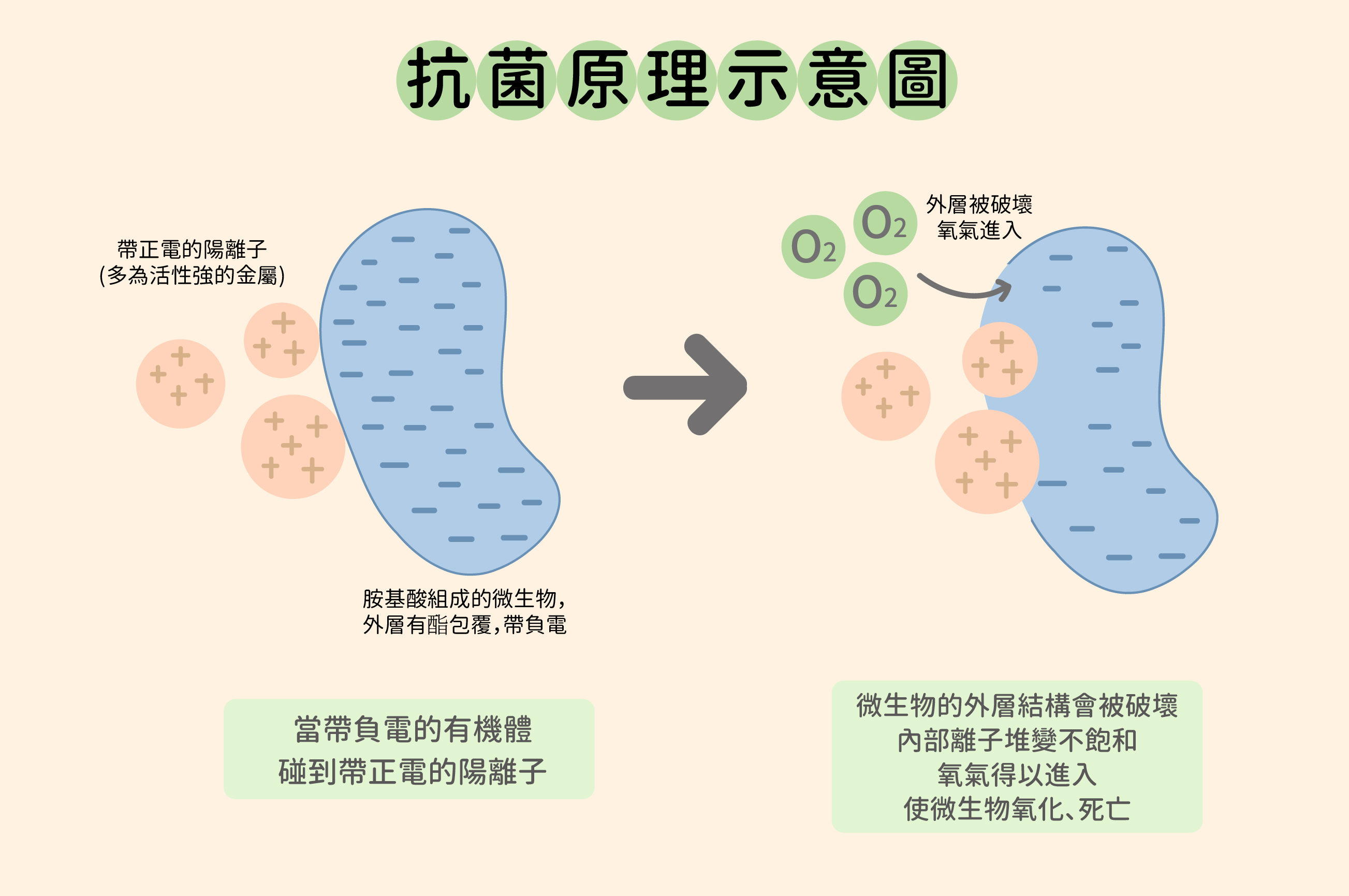 抗菌,除菌,殺菌