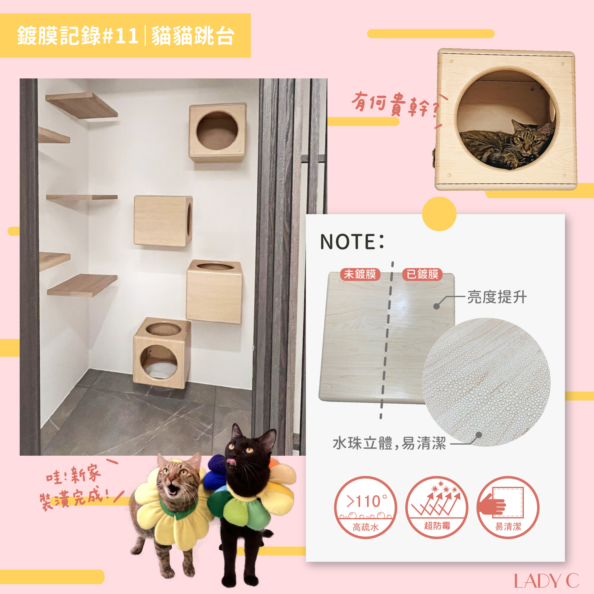 鍍膜記錄,木材鍍膜,貓跳台
