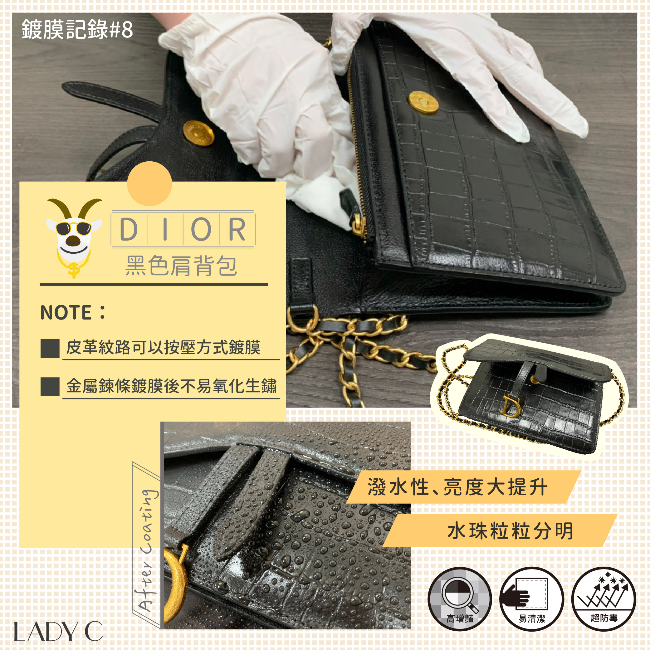 鍍膜記錄,皮革鍍膜,Dior