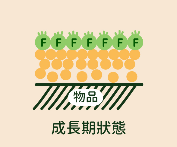 鍍膜,ladyC,熟成