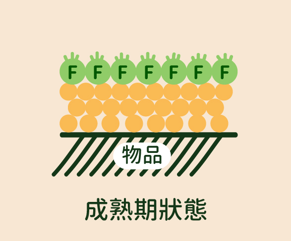 鍍膜,ladyC,熟成