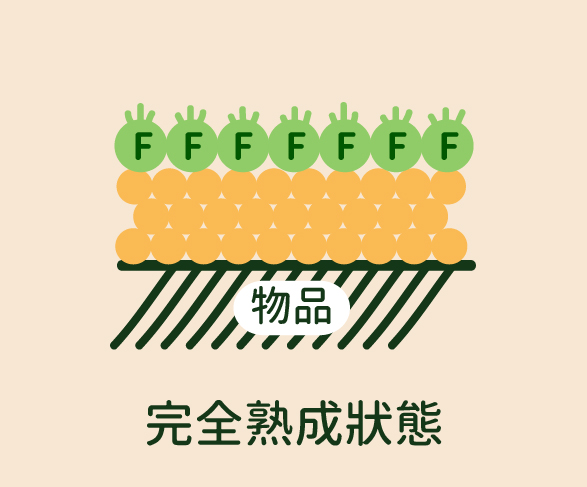 鍍膜,ladyC,熟成
